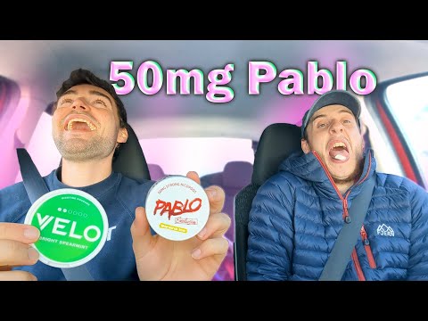 trying insane 50mg nicotine pouches for the first time