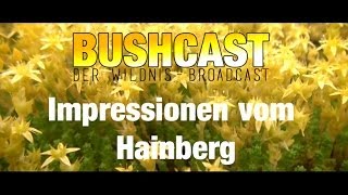 preview picture of video 'Impressionen vom Hainberg'