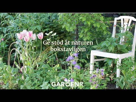 Stöd för växterna - Trädgårdshacks med GardenR