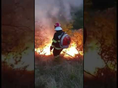 incendiu Beceni aprilie 2020