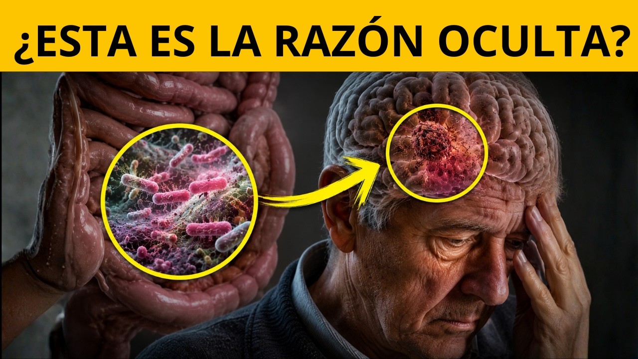 Lo que hay en tu CASA podría estar dañando tu CEREBRO