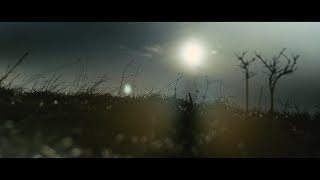 Music video thumbnail preview for The Canyon Observer - Mirrors (Official Video) by The Canyon Observer
