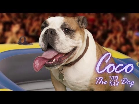 MOBILE DEVICES: Steve Aoki Trains the Secret Guest for His Birthday Show!