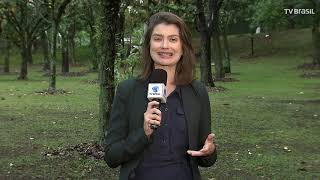 Miniatura do vídeo