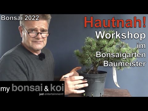 Bonsai 2022-55 - Up Close! - Workshop! - Group Dynamics in the Bonsai Garden Baumeister