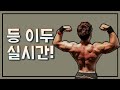 등 이두 운동(실시간)
