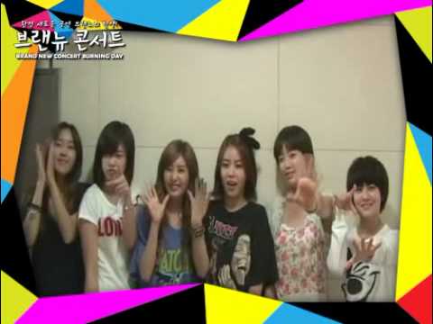 Brand New Concert T-ARA Greeting