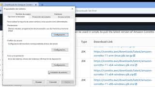 Descargar e instalar el JDK de Java versión 11 y configurar la variable de entorno en Windows 10