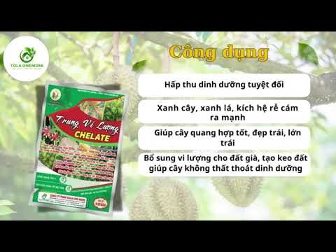 Cùng khám phá "Trung vi lượng chelate" VUA HỒI XUÂN của nhà One More