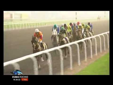 2011 Dubai Kahayla Classic(PA-G1) Seraphin Du Paon(FR)