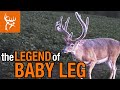 The LEGEND Of BABY LEG One Of The Best EVER At The E3