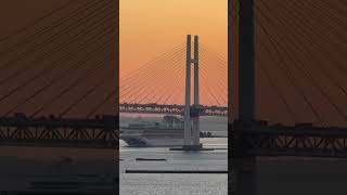 At Sunrise Diamond Princess Cruise Ship Squeezes Under Yokohama Bay Bridge with Just Feet to Spare