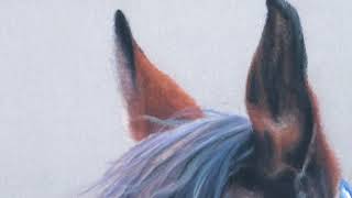 Rosie- pastel pencils on pastelmat