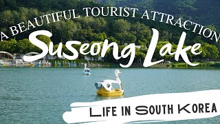 Suseong Lake | Daegu Begin Again | Beautiful Tourist Attraction | Life in South Korea | Susung Mot