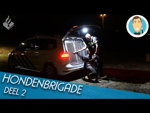 HONDENBRIGADE | SURVEILLANCEHONDEN | POLITIE | DEEL 2