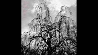 Colin Stetson &amp; Sarah Neufeld - Never Were the Way She Was (full album)