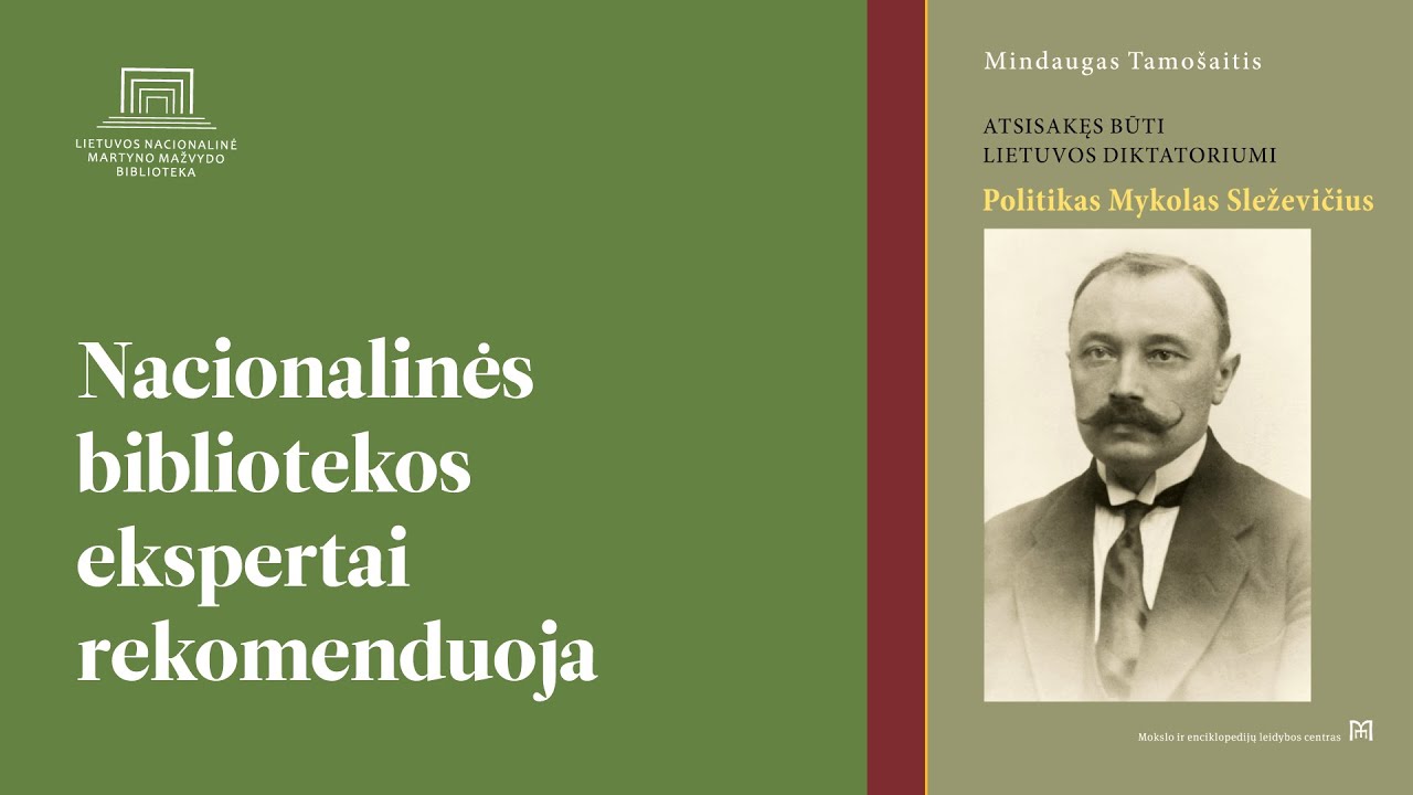Video iliustracija