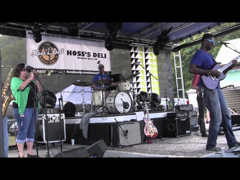 DJ Williams Projekt -full set 8/24/13 (pro audio)