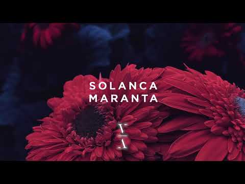 Solanca - Maranta