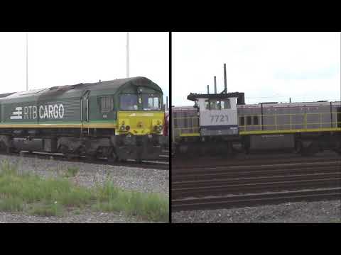 IN EN ROND DE WAASLANDHAVEN