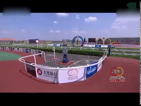 2015 Chengdu Dubai International Cup 成都迪拜国际杯