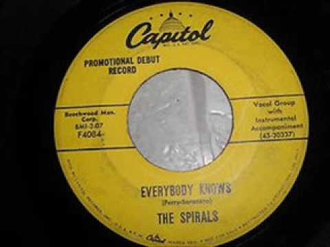 THE SPIRALS - Everybody Knows