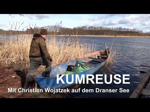 Kumreuse Im Dranser See (Teil: 1) - Wittstock-tv 2019
