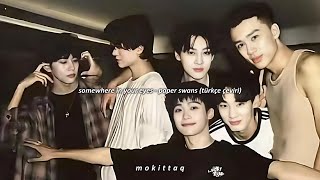 Download lagu somewhere in your eyes − paper swans (türkçe çeviri) | revenged love mp3 Download lagu somewhere in your eyes − paper swans (türkçe çeviri) | revenged love mp3