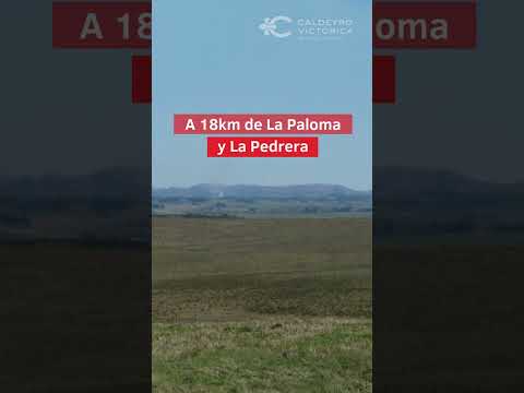 Video de YouTube - Campo en venta en Rocha ref. 5130