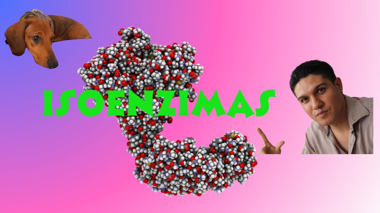 Isoenzimas