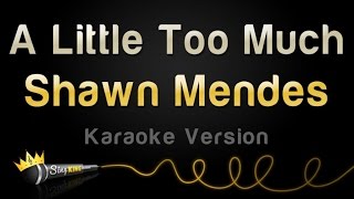 Shawn Mendes - A Little Too Much (Karaoke Version)