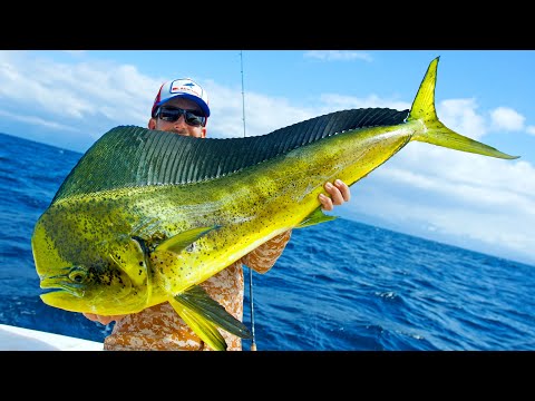 Giant Dolphin Caught using Berkley Gulp + MASSIVE Marlin