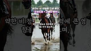 경마는 비 내릴때 인생 배당! "포화주로= 고배당 폭탄!"
