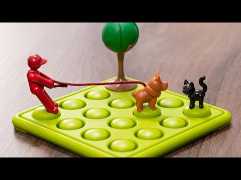 NUNCA HABÍA VISTO ALGO ASÍ *QUE NO SE COMA AL GATO*