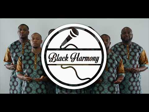 Black Harmony - Wi kon