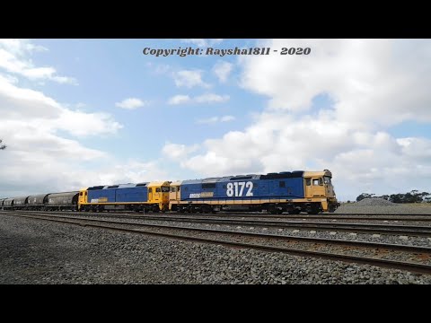 8172-BL32 - Gheringhap