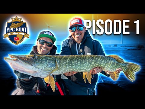 KOMPLETT rasiert beim STAFFELSTART?! | YPC Boat 26 Episode 1