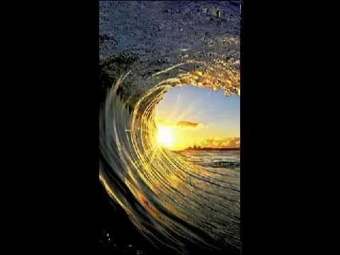 Tobias Freund - Bayside