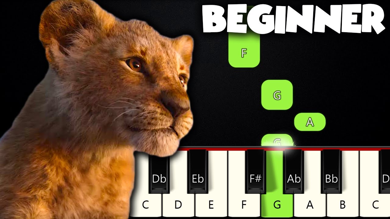 Circle Of Life - The Lion King | BEGINNER PIANO TUTORIAL + SHEET MUSIC by Betacustic