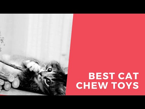 Best Cat Chew Toys