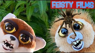Nature Meets Naughty! Feisty Pets Outrageous Outdoor Adventures