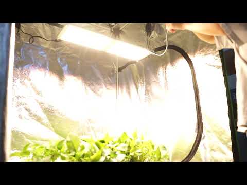 200W LM301B 660nm Quantum Board LED Grow Light