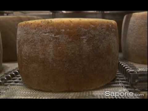 Prodotti: Pecorino sardo | Saporie
