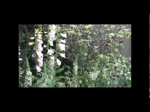 Chelsea Flower Show 2012