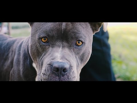 Silent200 x Y.O.G.I - Me And My Heatah (Official Music Video) ll Dir.by @Truvisionzfilms