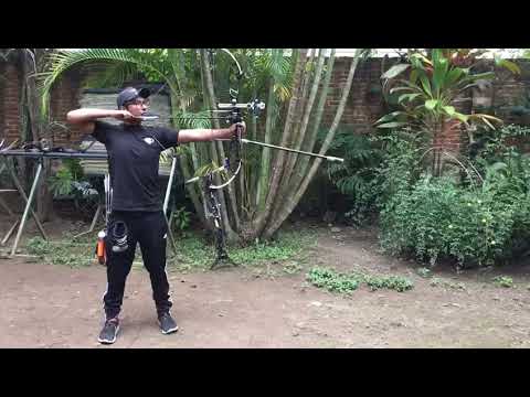 Proyecto de ciencias