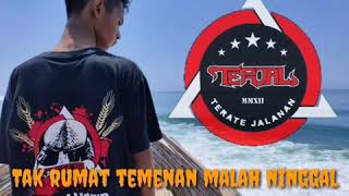 Download lagu Story wa TERJAL|aku seng berjuang arek kae sng nyayang mp3