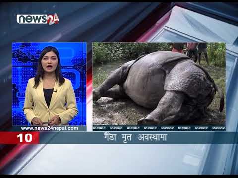AFTERNOON NEWS FATAFAT - NEWS24 TV