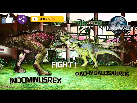 INDOMINUS REX VS PACHYGALOSAURUS | JURASSIC WORLD THE GAME- HYBRID DINOSAUR BATTLE 😱🔥