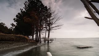 Ինդեքս 02.03.2022